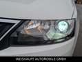 Skoda Rapid/Spaceback Spaceback Elegance Automatik-SHZ-PDC-Tempo Bianco - thumbnail 14
