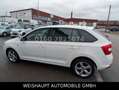 Skoda Rapid/Spaceback Spaceback Elegance Automatik-SHZ-PDC-Tempo Bianco - thumbnail 11
