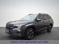 Subaru Forester 2.0 ie 100 kW AWD Exclusive Grijs - thumbnail 1