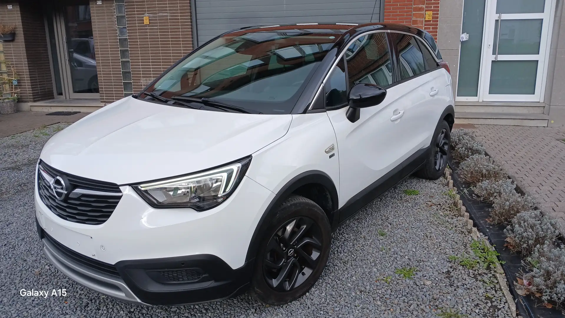 Opel Crossland X Crossland X 1.2 Start/Stop 120 Jahre Blanc - 1