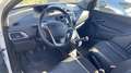 Lancia Ypsilon Ypsilon III 2015 1.2 Elefantino Blu  Gpl 69cv my19 Bianco - thumbnail 4