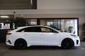 Kia ProCeed / pro_cee'd 1.6 T-GDI GT AUT 204PK Pano Navi Virtual Led ACC C Blanc - thumbnail 6