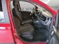 Fiat Panda Cross 1.0 firefly hybrid (Red) s Rojo - thumbnail 13