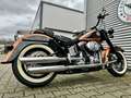 Harley-Davidson FLSTNI DeLuxe 105th Anniversary Zwart - thumbnail 6