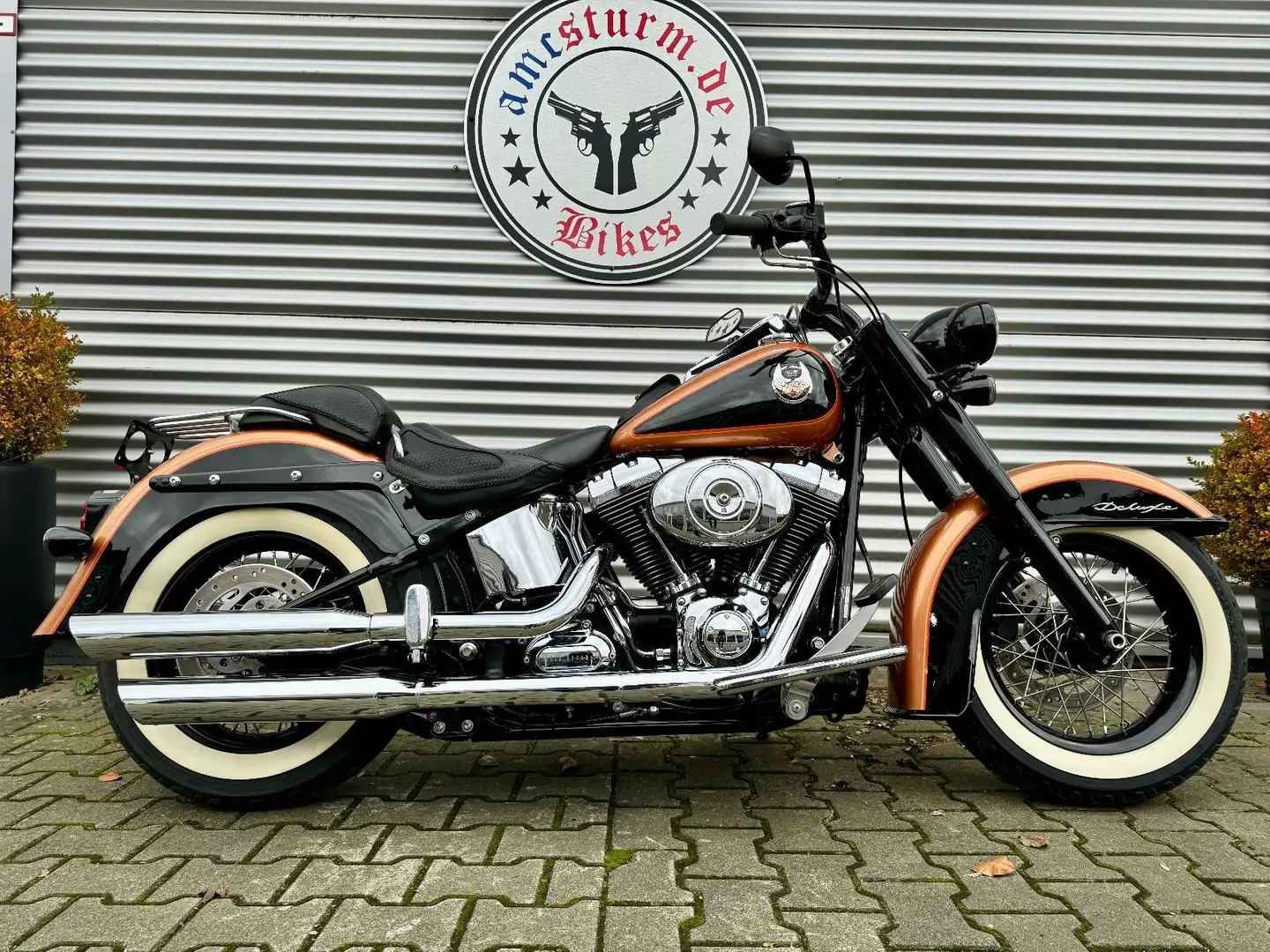 Harley-Davidson FLSTNI DeLuxe 105th Anniversary Zwart - 1