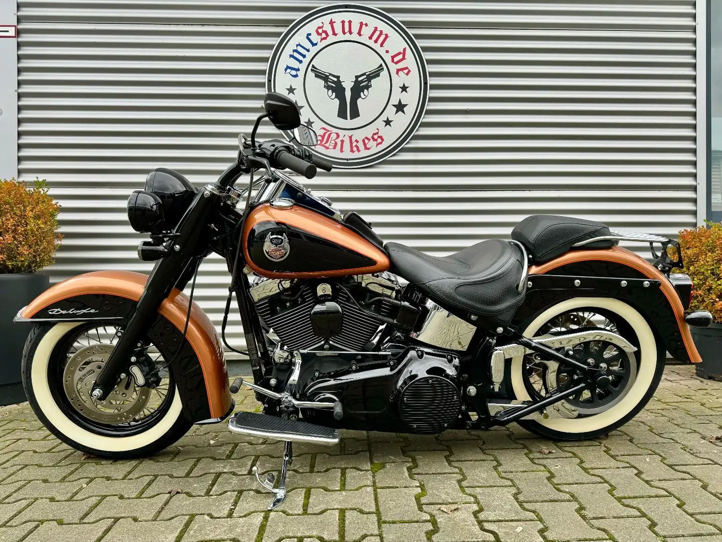 Harley-Davidson FLSTNI DeLuxe 105th Anniversary Zwart - 2