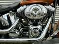 Harley-Davidson FLSTNI DeLuxe 105th Anniversary Zwart - thumbnail 15