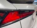 Lexus NX 300 300h Executive Navigation 4WD Blanco - thumbnail 12