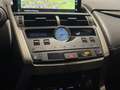 Lexus NX 300 300h Executive Navigation 4WD Blanco - thumbnail 15