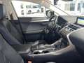 Lexus NX 300 300h Executive Navigation 4WD Blanco - thumbnail 6