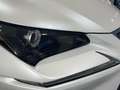 Lexus NX 300 300h Executive Navigation 4WD Blanco - thumbnail 11