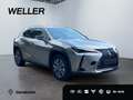 Lexus UX 300e *Leder*SmartKey*CarPlay*Bi-LED*Klimaaut* Silber - thumbnail 21