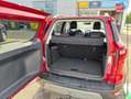 Ford EcoSport 1.5 EcoBlue 120ch Titanium GPS Blanc - thumbnail 14
