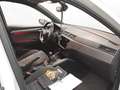 SEAT Arona 1.0 TGI FR LED LM 17" Navi PDC+RFK ACC Ful Weiß - thumbnail 5