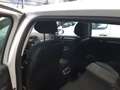Renault Megane S.T. 1.5dCi Blue Business 85kW Blanco - thumbnail 8