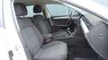 Volkswagen Passat Variant Business 2,0 SCR TDI / Modell 2021 / 1.Besitz / Weiß - thumbnail 6