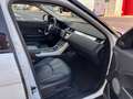 Land Rover Range Rover Evoque 2.0TD4 HSE 4WD Aut. 150 Blanco - thumbnail 10