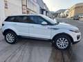 Land Rover Range Rover Evoque 2.0TD4 HSE 4WD Aut. 150 Blanco - thumbnail 6