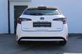 Toyota Corolla Kombi 1.8 Hybrid "ACTIVE" Aut. mit Driver Assist Paket aus 1. Besitz! Weiß - thumbnail 5