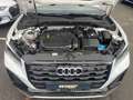 Audi Q2 35 TFSI S line LED ACC PDC RFK Klima Navi Amb Bianco - thumbnail 12