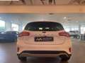 Ford Focus 1.5 ACTIVE 120 CV Wit - thumbnail 6