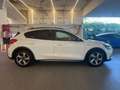 Ford Focus 1.5 ACTIVE 120 CV Wit - thumbnail 4