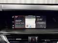 Alfa Romeo Stelvio 2.2 Turbodiesel 210 CV AT8 Q4 Ti Grey - thumbnail 18