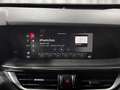 Alfa Romeo Stelvio 2.2 Turbodiesel 210 CV AT8 Q4 Ti Grey - thumbnail 17