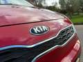 Kia Rio 1.4 CVVT BusinessLine / 55.000 km / Automaat / Air Rood - thumbnail 14
