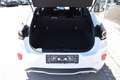 Ford Puma 1.0 EcoBoost Mild Hybrid Weiß - thumbnail 14