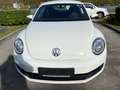 Volkswagen Beetle Beetle 1,4 TSI Weiß - thumbnail 4