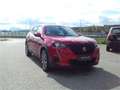 Peugeot 2008 BlueHDi 100 S&S Active 6-Gang-Manuell Rot - thumbnail 4