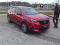 Peugeot 2008 BlueHDi 100 S&S Active 6-Gang-Manuell Rot - thumbnail 4
