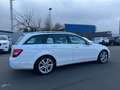 Mercedes-Benz C 250 D *AVANTGARDE*AHK*TEMP*PDC*SITZH*NAVI Weiß - thumbnail 11