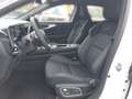 Renault Austral E-Tech Full Hybrid 200 Esprit Alpine Aut. Weiß - thumbnail 5