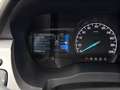 Ford Ranger 2.0D EcoBlue Aut. DoKa Limited 4x4 AHK/Kamera/ACC Weiß - thumbnail 25