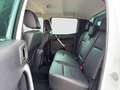 Ford Ranger 2.0D EcoBlue Aut. DoKa Limited 4x4 AHK/Kamera/ACC Weiß - thumbnail 12
