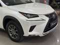 Lexus NX 300 300h Business Navigation 2WD Blanco - thumbnail 4