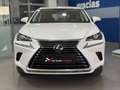 Lexus NX 300 300h Business Navigation 2WD Blanco - thumbnail 2