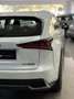 Lexus NX 300 300h Business Navigation 2WD Blanco - thumbnail 7
