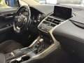 Lexus NX 300 300h Business Navigation 2WD Blanco - thumbnail 10