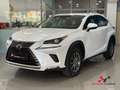 Lexus NX 300 300h Business Navigation 2WD Blanco - thumbnail 1