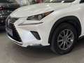 Lexus NX 300 300h Business Navigation 2WD Blanco - thumbnail 3