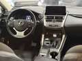 Lexus NX 300 300h Business Navigation 2WD Blanco - thumbnail 11