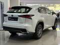 Lexus NX 300 300h Business Navigation 2WD Blanco - thumbnail 6