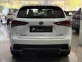Lexus NX 300 300h Business Navigation 2WD Blanco - thumbnail 5