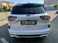 Ford Kuga Kuga III 2020 1.5 ecoblue ST-Line X 2wd 120cv auto Blanc - thumbnail 5