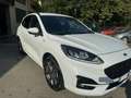 Ford Kuga Kuga III 2020 1.5 ecoblue ST-Line X 2wd 120cv auto Blanc - thumbnail 2