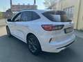 Ford Kuga Kuga III 2020 1.5 ecoblue ST-Line X 2wd 120cv auto Blanc - thumbnail 4