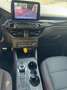 Ford Kuga Kuga III 2020 1.5 ecoblue ST-Line X 2wd 120cv auto Blanc - thumbnail 12